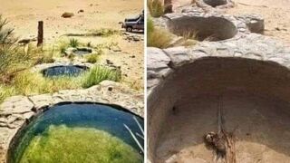 عين السرو، هذه الظاهرة الطبيعية الفريدة  فى واحة الفرافرة بمصر -