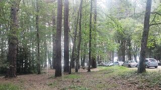 Naturaleza ????️ suscríbete 3