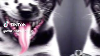 #viral 8
