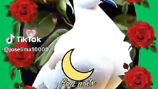 Palavra de Deus
