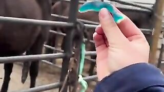 New Funny Part Super Hit Fully Enjoy #viral #trend #shorts 6