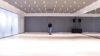 TAEMIN 태민 _WANT_ Dance Practice(360P).