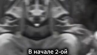 ЗАЩО СА СЕ ТЪРСЕЛИ ДАЛТОНИСТИТЕ В АМЕРИКАНСКАТА АРМИЯ