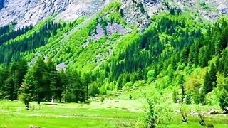 Swat New Beautiful Vibes #swat #beautiful #beautifulplaces #vibes #kpk #pakistan #pakistantravelvlog