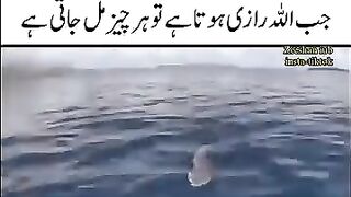 نہ کر نصیب سے اتنے گلے