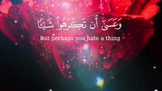 Quran Surah 41