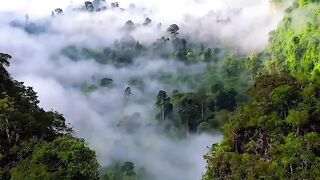 “Witness the breathtaking beauty of Mother Nature! #NatureScape #SpectacularScenery