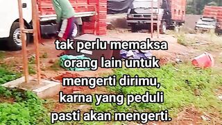 ayam broiler || kata kata lucu 457