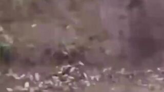 Funny fails comedy #RoFL #Crazy #FunTimes #StandUpComedy
