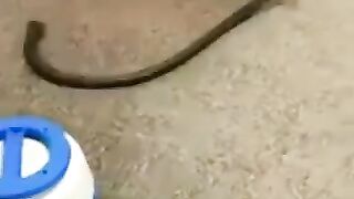 Construction funny comedy 2