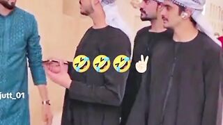 habibi 3