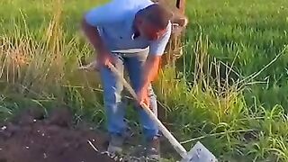 Funny  bussy working