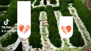 من تواضع لله رفعه