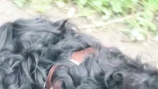 "Into the Wild: Journeying Through Nature with My Dog"