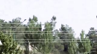 Predator 4