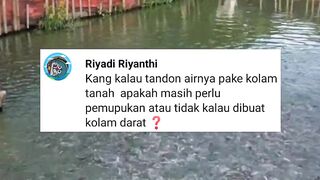 Kolam TANAH dijadikan kolam TANDON apakah perlu pemupukan lagi❓
