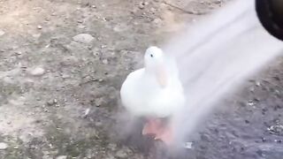 What a nice shower on a  day
