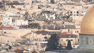 قرآن كريم 8