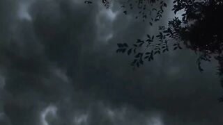 Before rain or After rain #trendingnow #reelsinstagram#rainyseason