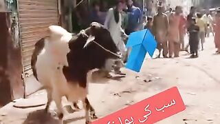 سب کی ہوا نکل گئی