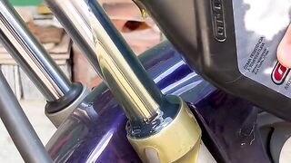 technique to lubricate the shock absorbers