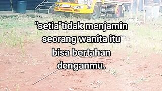 ayam broiler || kata kata lucu 458