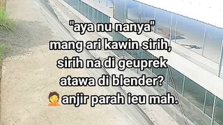 ayam broiler || kata kata lucu 459