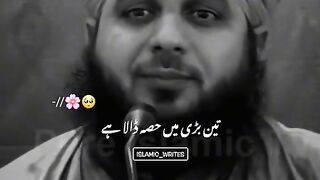 Peer Ajmal Raza Qadri 11