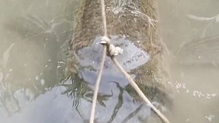 Amazing fishing 3
