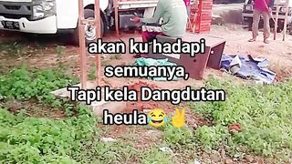 ayam broiler || kata kata lucu 460