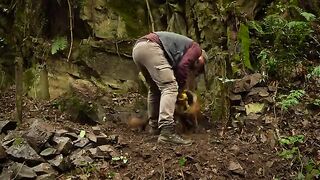 **Crafting a Wilderness Haven: Building a Natural Hut with a Turf Roof and Underground Bunker**