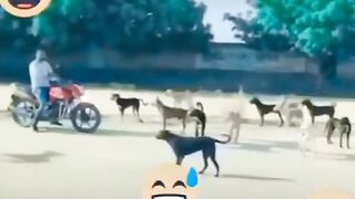 وڑنا اس کو کہتا ہے