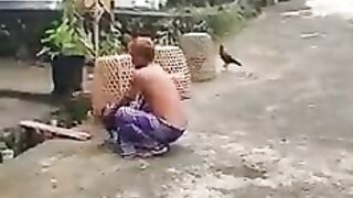 Pecked by a rooster