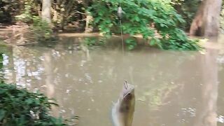 Fishing in the river