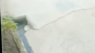 कॉमेडी ????????????????????????✨????????