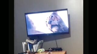 The Lion King 2 2