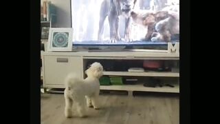The Lion King 3 2