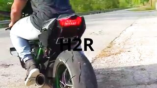 H2R Monster killer Hayabusa