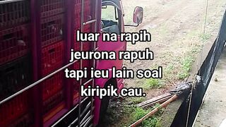 ayam broiler || kata kata lucu 463