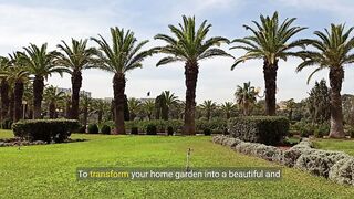 The ultimate guide to designing your dream home garden