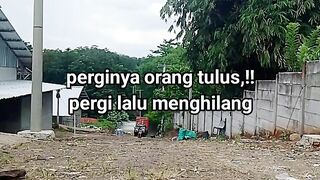 ayam broiler || kata kata lucu 468