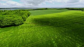 Grassland - Farm Field Background Video - No Copyright Video
