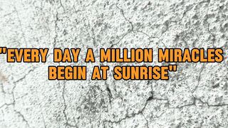 The sun is the inspiration of life