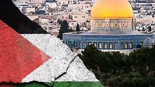 Palestine 6