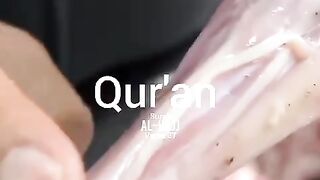 Qur an 2