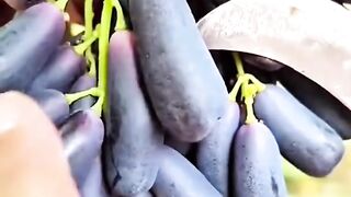 Fruit 18