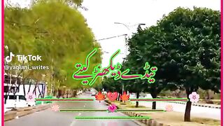 Malik 3