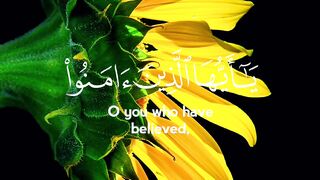 Quran Al Kareem 58
