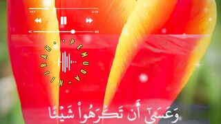 Quran Al Kareem 59