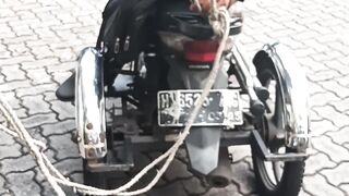 Fixed motorcycle difabel